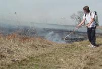 Botany member putting out the flame