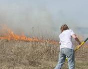 Botany member cleaning the area