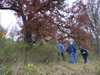 Mentor David Gossman shows a large red oak to the botany group
